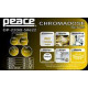 Peace - BATTERIA PEACE DP-22DB-5 #622 IC 6