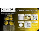 Peace - BATTERIA PEACE DP-22DB-5 #633 SP 6