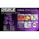 Peace - BATTERIA PEACE DP-22DNAC2-5 #168 6