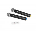 Omnitronic - UWM-2HH USB Wireless Mic Set with two Handheld Microphones