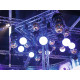 Eurolite - Mirror Ball 50cm gold 3
