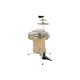 Dimavery - CDS Cocktail Drum set, maple 6