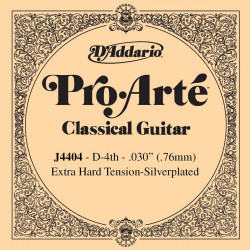D'addario - J4404 1