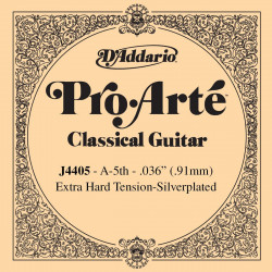 D'addario - J4405 1