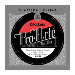 D'addario - SNN-3B PRO-ARTE CLASSICAL HALFSETS SILVER NORMAL TENSION 1
