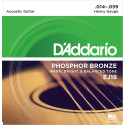 D'addario - EJ18 PHOSPHOR BRONZE HEAVY [14-59]