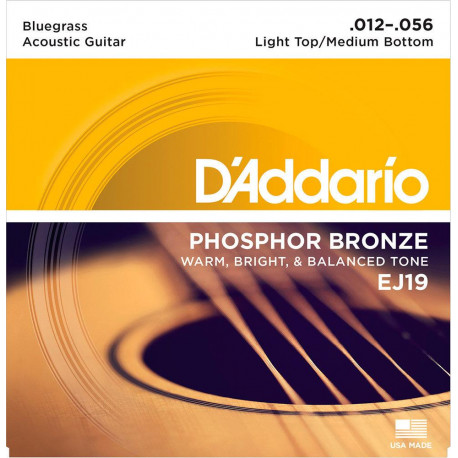D'addario - EJ19 PHOSPHOR BRONZE HEAVY [12-56] 1