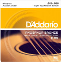 D'addario - EJ19 PHOSPHOR BRONZE HEAVY [12-56]