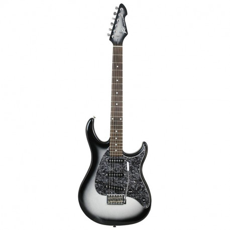 Peavy - RAPTOR® CUSTOM SILVERBURST 1