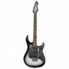 Peavy - RAPTOR® CUSTOM SILVERBURST 1